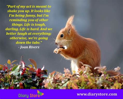 Squirrel Quotes And Images - ShortQuotes.cc