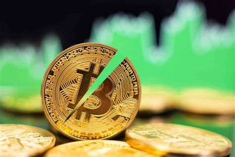 Bitcoin Btc Halving Here Are 5 Potential Cycles To Watch