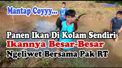 Panen Ikan Di Kolam Sendiri Langsung Ngeliwet Youtube