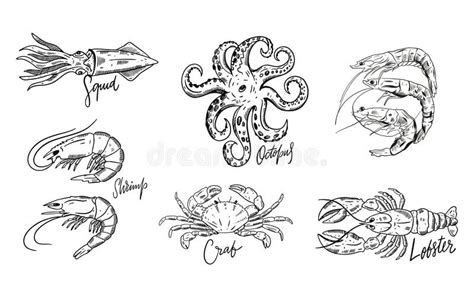 Seafood Set Hand Drawn Illustrations Stock Illustrations 776 Seafood Set Hand Drawn