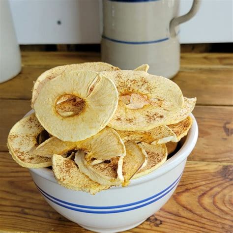 Dehydrated Cinnamon Apple Chips Recipe · Hidden Springs Homestead