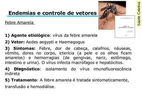 Aula 7 Endemias Brasileiras E Controle De Vetores