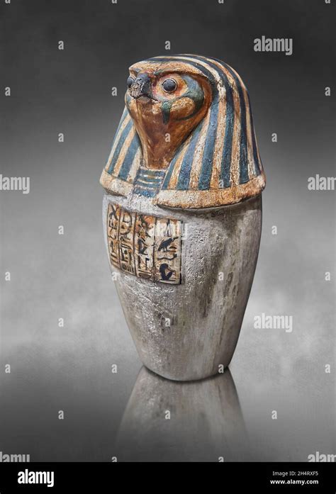 Ancient Egyptian Canopic Jar Of Amon Padiouf Depicting The Falcon