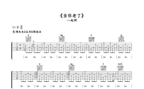 当你老了吉他谱 赵照 C调吉他弹唱谱 琴谱网