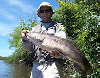 Pescador Del Sur Pesca De Tarariras En Uruguay