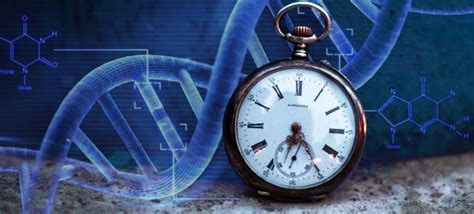 Scientists Use Machine Learning To Develop An Epigenetic Clock For