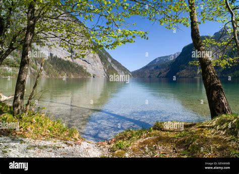 Koenigssee Lake Berchtesgaden Alps Stock Photo Alamy