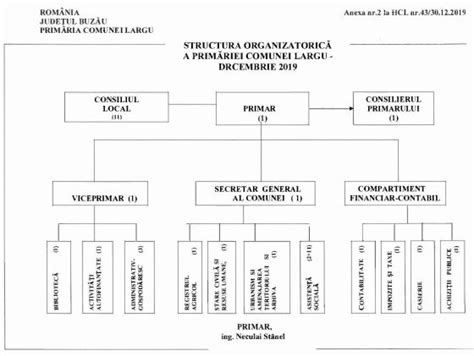 Organigrama Primarie