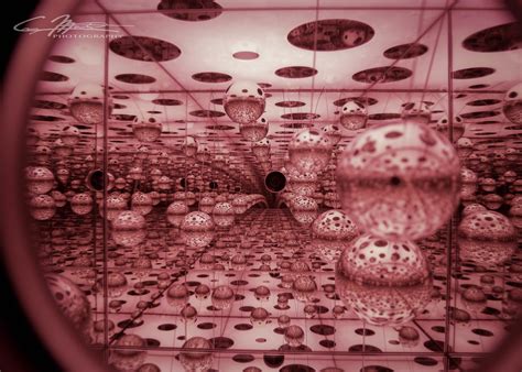 Infinity Mirrors Exhibit At The Cleveland Museum Of Art Flickr