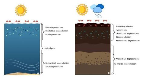 Exemplification of the main degradation type according to the ...