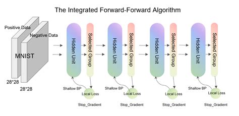 Intff The Integrated Forward Forward Algorithm Download Scientific