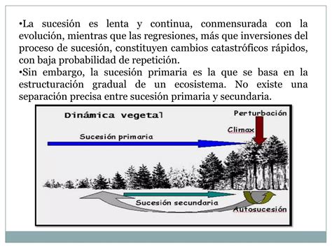 Sucesion Ecologica Basico Ppt