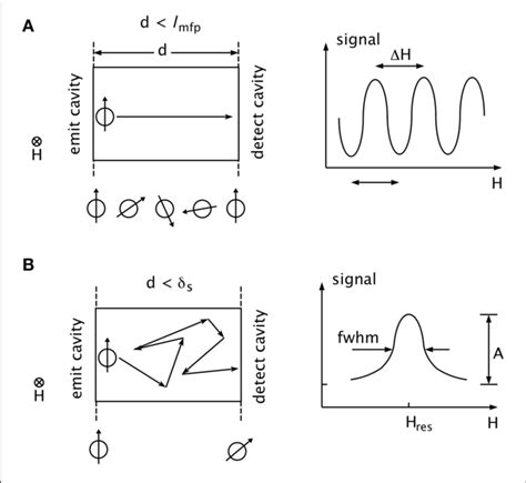 Schematic Description Of Transmission Electron Spin Resonance Tesr Download Scientific