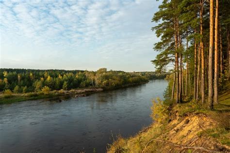 Jesienny Las Wzdłuż Rzeki I Jeziora Zachodzące Słońce Oświetla