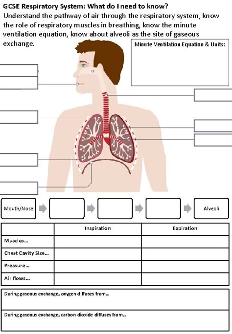 GCSE PE Paper 1 Revision Booklet Name Topic