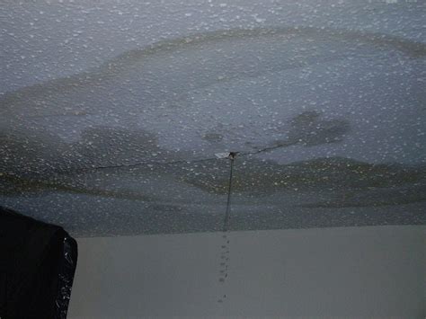 Ceiling Leaks: A Comprehensive Guide to Prevention and Repair | by ...