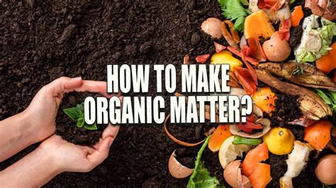 How to Make Organic Matter? Discover the Key to Thriving Plants!