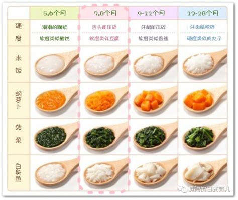 宝宝辅食添加全攻略中期篇7 8个月 知乎