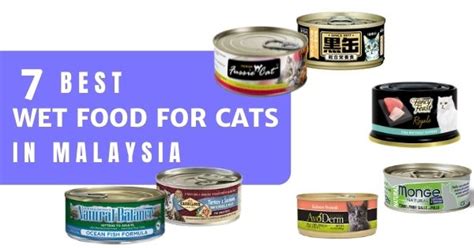 7 Best Wet Food For Cats In Malaysia 2022 For Fussy Felines