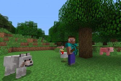 125+ Best Minecraft Dog Names - My Dog's Name