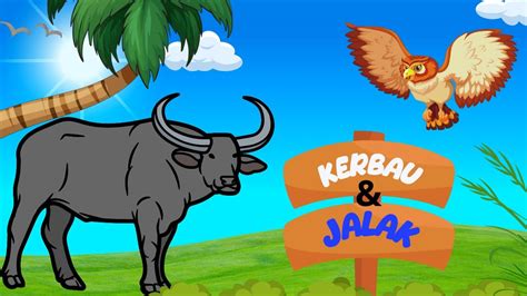 Kisah Kerbau Dan Burung Jalak Youtube