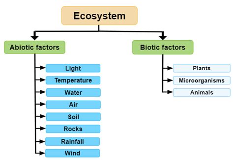 Components Of Ecosystem — Lesson Science Cbse Class 10