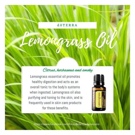 Alice S Dream Su Instagram November Product Of The Month Lemongrass