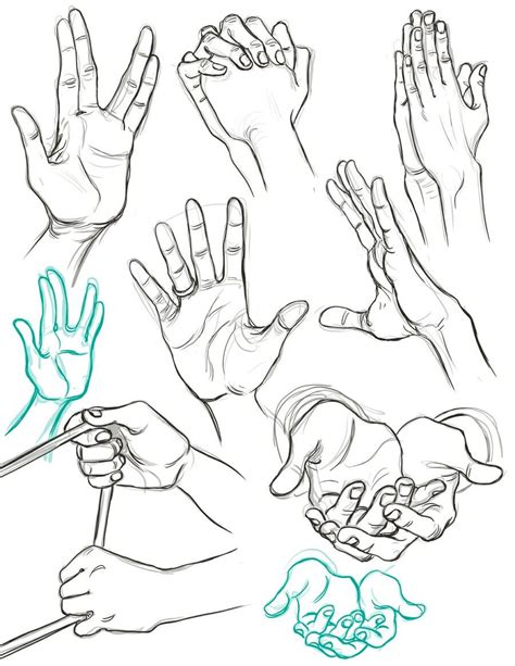 Best 12 Human Anatomy Fundamentals How To Draw Hands Artofit