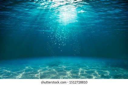 1,928,232 Underwater Images, Stock Photos & Vectors | Shutterstock