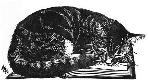 Curled Up Cat Drawing at PaintingValley.com | Explore collection of ...