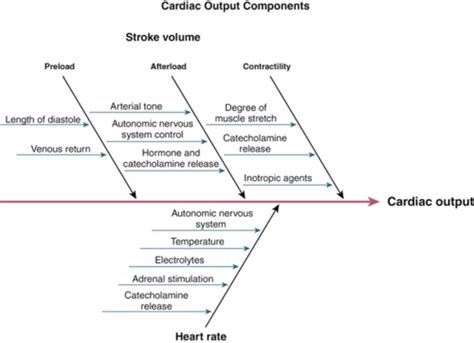 Hemodynamic Monitoring Flashcards Quizlet