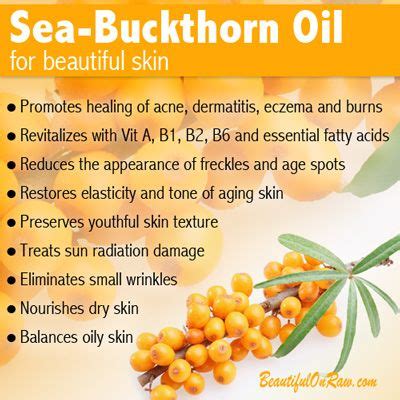 amazing beauty benefits  sea buckthorn berry oil matcha