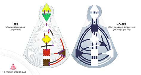 Dise O Humano The Human Design Lab