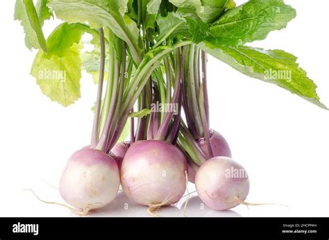 Bunch Of Fresh Turnips Isolated On White Stock Photo Alamy