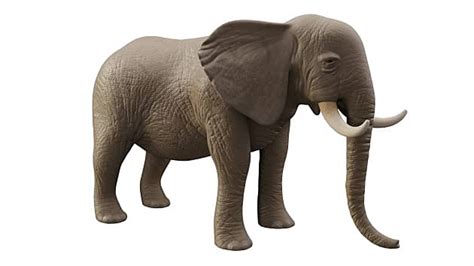 Descubrir 88 Imagen Modelo De Elefante Abzlocalmx