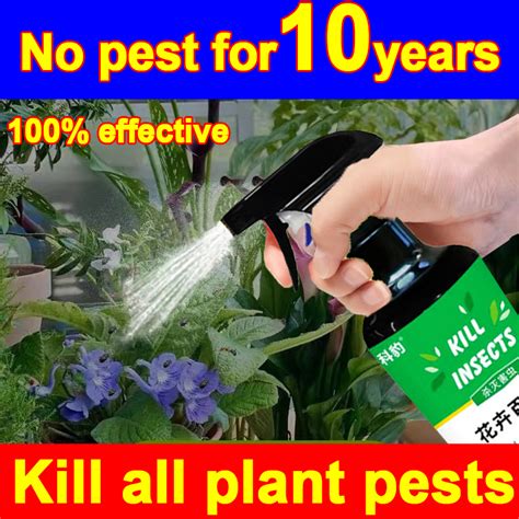 Plant Organic Insecticide 300ml For Plants Pesticide Insecticide Spray Does Not Harm Plants