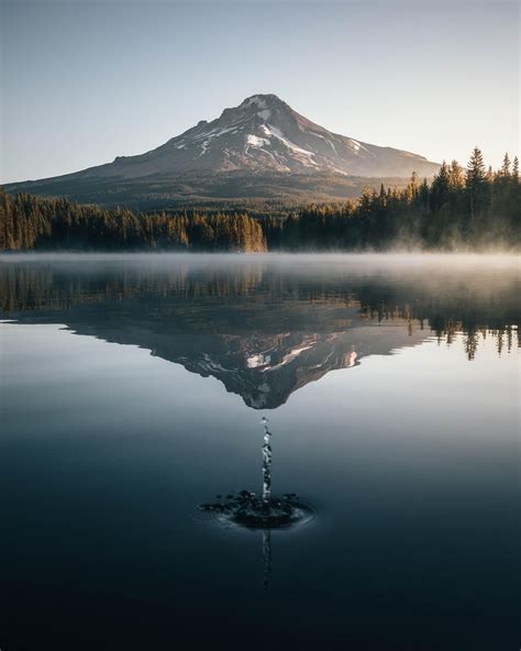 Best Trillium Images On Pholder Earth Porn Ontario And Oregon