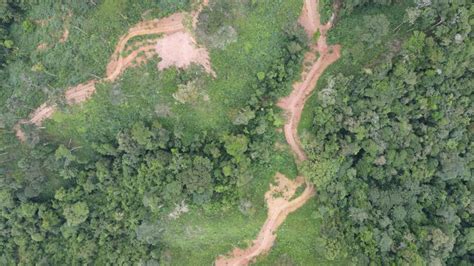 Detectan Irregularidades Ambientales En Parque Nacional General Omar