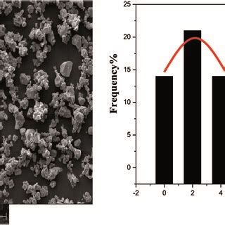 A SEM Micro Graphs And B The Corresponding Histograms For