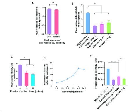 Different Elements In The Igg Ssdna Probe Conjugation And Elements In