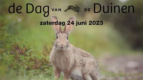 Op Zaterdag Juni Organiseert Stichting Duinbehoud De Dag Van De