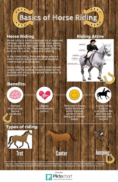 Five Fascinating Facts About Horses Horse Facts Horse Care Horses ...