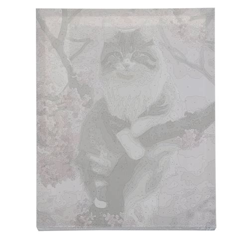 Malen nach Zahlen 40x50cm - Kätzchen Maaleo | Kaufland.de