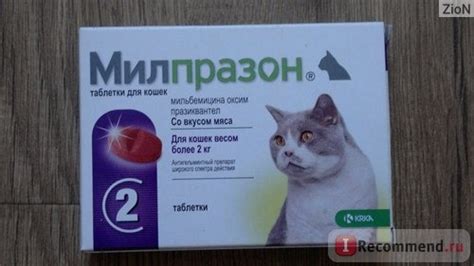 Для кошек таблетки от поноса: Какие лекарства можно самостоятельно ...