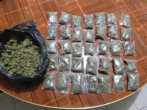 En Fresnillo Pep Detuvo A Dos Hombres Por Posesi N De Marihuana Y