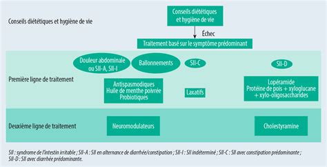 Traitements médicamenteux du syndrome de lintestin irritable