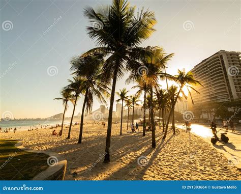 Sunset View Of Leme And Copacabana Beach With Coconut Trees In Rio De