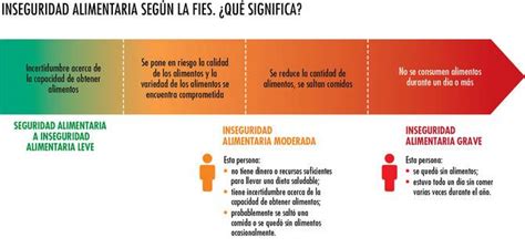 Qu Es La Seguridad Alimentaria Ayuda En Acci N