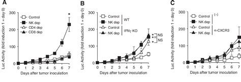 Figure 1 From NK Cells Control Tumor Promoting Function Of Neutrophils