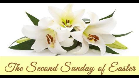 Holy Sacrament The Second Sunday Of Easter Youtube